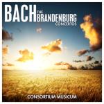 album image Branderburg Concerto (Brandenburgische Konzerte) - BWV 1048 Nº. 3 in G major - Allegro moderato (Bach) Bach: The Brandenburg Concertos