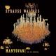 Johann Strauss II - Treasure Waltz