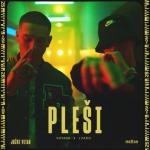 album image Plesi Plesi - Single
