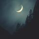 MidnightDrives - F a n t a s y T a l k i n g t o t h e M o o n