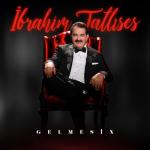 album image Gelmesin Gelmesin - Single