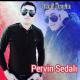 Pervin Sedalı - Seve Bilmedim