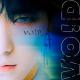 HYUNJUN HUR - VO!D