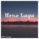Vlv Vinod - Hone Laga