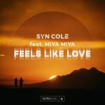 album image Feels Like Love (Extended Mix) Feels Like Love - Single