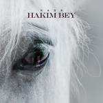 album image Hakim Bey Hakim Bey - Single