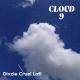 kidolitx - Cloud 9 Dixzie Cruel Lofi
