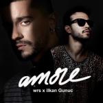 album image Amore Amore - Single