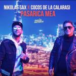 album image Pasarica Mea Pasarica Mea - Single