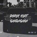 album image Gandi