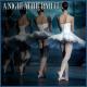 Pro Musica Orchestra Vienna (Primary) - The Carnival of the Animals, R. 125: XIII. the Swan