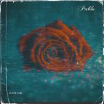 album image Pablo Pablo (Remix)