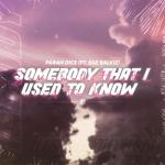album image Somebody That I Used To Know Somebody That I Used To Know (feat. Ege Balkiz) - Single