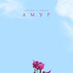 album image АМУР АМУР - Single