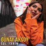 album image Sol Yanim (TRmusic) Sol Yanım - Single
