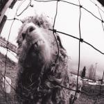 album image Rearview Mirror Vs. (Expanded Edition)