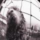Pearl Jam - Rearview Mirror