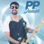 album image Reels do PP (Viral Reels) [Tipo Gin] Reels do PP (Viral Reels) [Tipo Gin] - Single