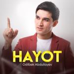 album image Hayot Hayot - Single