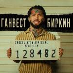 album image Биркин Биркин - Single