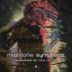Metronome - Shadows of You (Symphonix Remix)