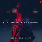 album image Run Through The Night Run Through The Night (feat. MEELA) - Single