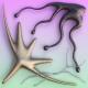 BROSSO & OPPAACHA - STRENGHT oF MiND /Mix Original/