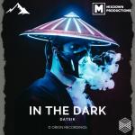 album image In The Dark