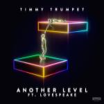 album image Another Level Another Level (feat. Lovespeake) - Single