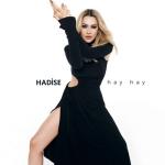 album image Hay Hay Hay Hay - Single