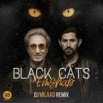 album image Emshab (Remix) Emshab (Remix) - Single
