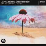 album image Like No Other (Extended Mix) Like No Other (feat. Jaimes) - Single