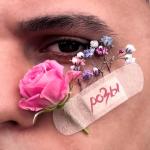 album image Розы Розы - Single
