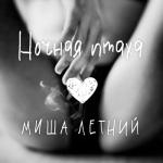 album image Ночная птаха Ночная птаха - Single