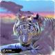 ITALEE, Alessia Labate - Die Young
