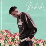 album image Habibi Habibi - Single