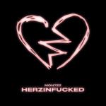 album image Immer wenn ich gehen will HERZINFUCKED