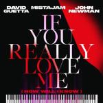 album image If You Really Love Me (How Will I Know) If You Really Love Me (How Will I Know) - Single