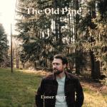 album image Now I'm Blind The Old Pine
