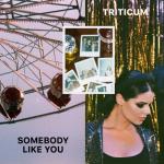 album image Somebody Like You Somebody Like You - Single