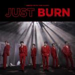 album image DAMAGE JUST BURN - EP