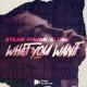 Steam Phunk, Eliine - What You Want