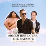 album image Somewhere Over the Rainbow / What a Wonderful World Somewhere Over the Rainbow / What a Wonderful World - Single