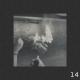 pestotrip - roses prodbykg  yeezo