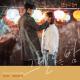 Yang Dail - Next to you