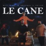 album image LE CANE LE CANE - Single