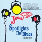 album image 13. Money Is the Name of the Game Spotlights the Blues, Vol. 2