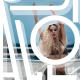 LOBODA - Allo (Lavrushkin & Tomboo Remix)