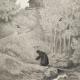 Sasuke theme - Naruto shippuden 2