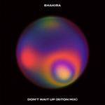 album image Don't Wait Up Don't Wait Up (Riton Mix) - Single